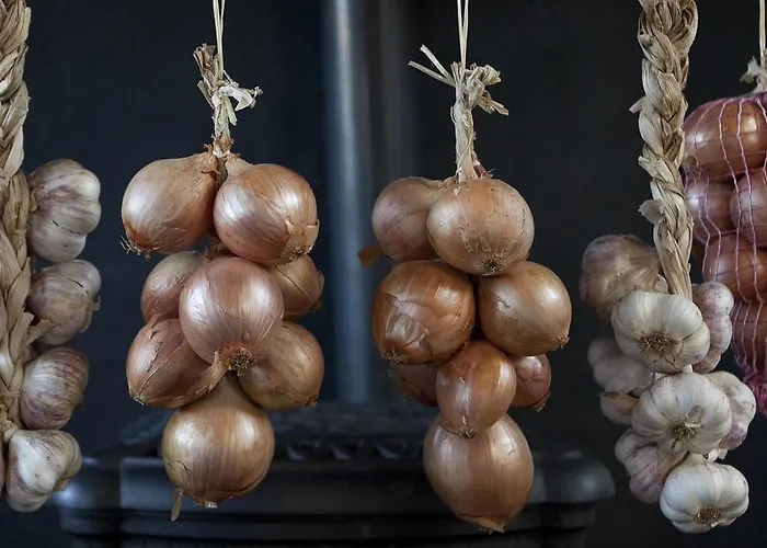 Klooster Elsendael Ξενοδοχείο 3*